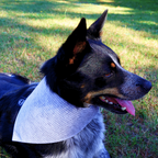 Grey Dot Bandana