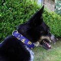 Sunflowers Collar