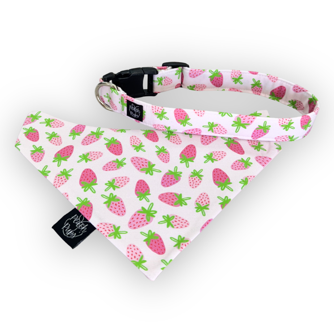 Strawberries Collar
