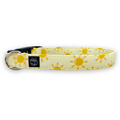 Sunny Day Collar