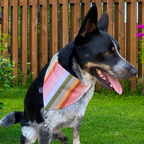 Pastel Stripe Bandana