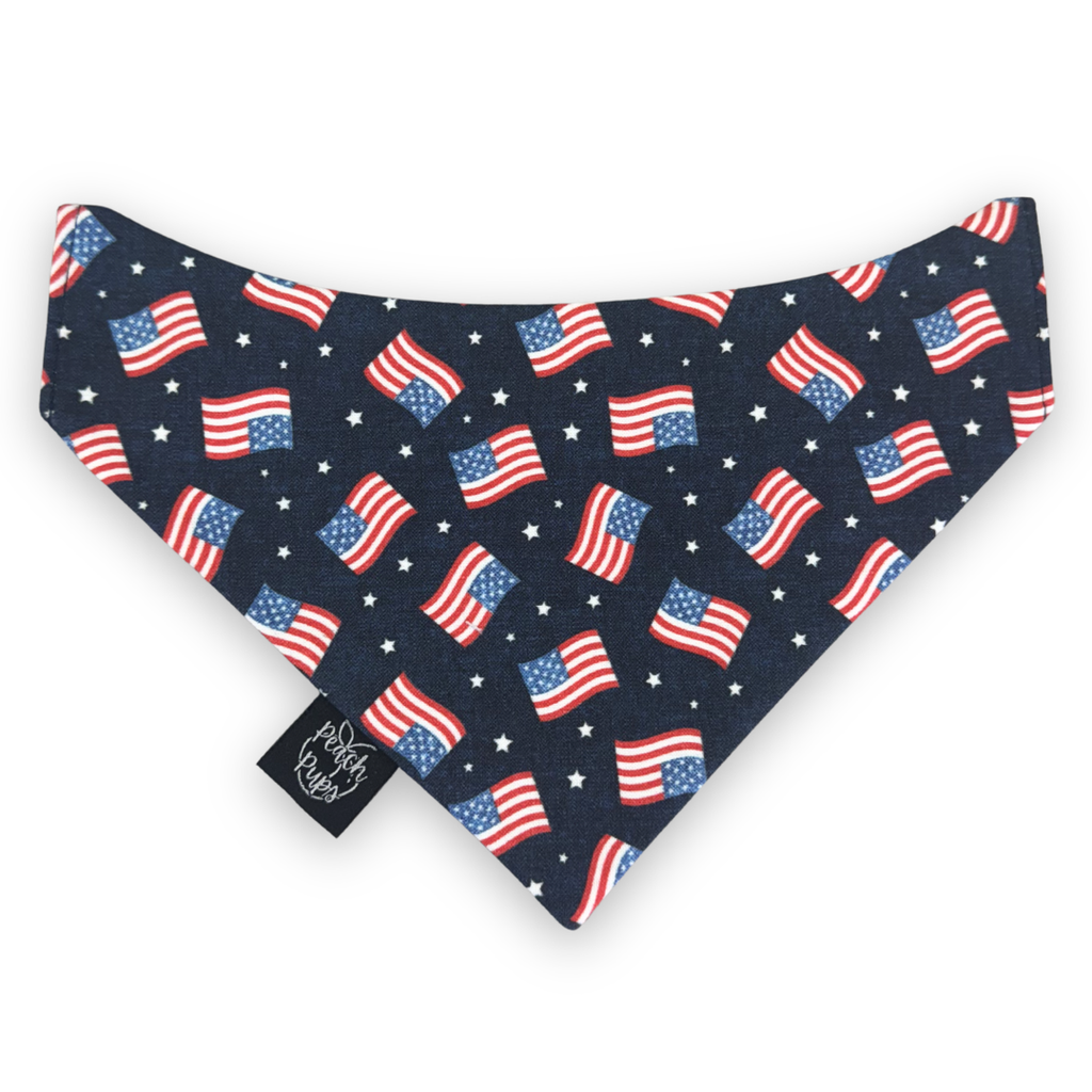 American Flags Bandana