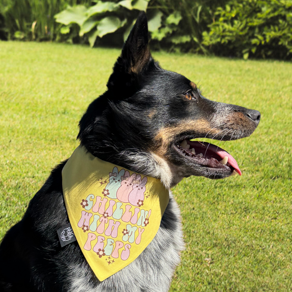 Chillin With My Peeps Bandana