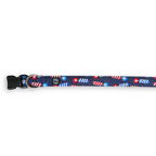 Firecrackers Collar
