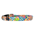 Florida!!! Collar