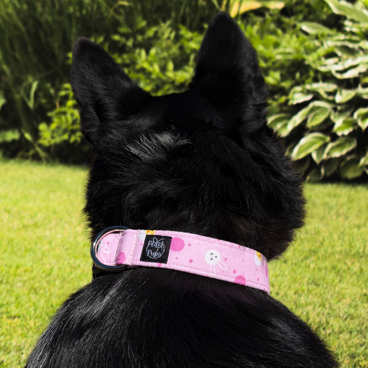 Peeps and Bunnies Collar