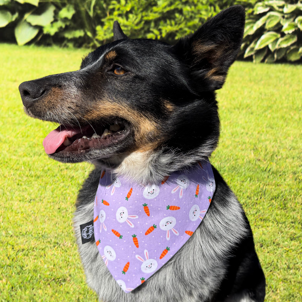 Purple Bunnies and Carrots Bandana