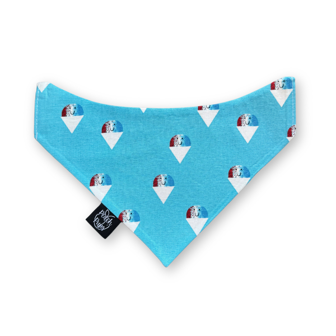 USA Snow Cones Bandana