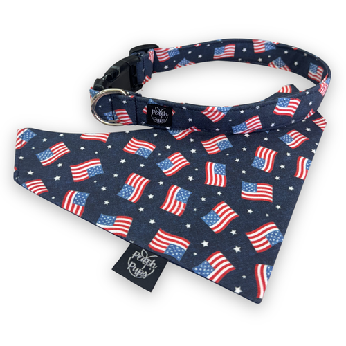 American Flags Collar