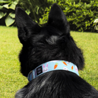 Blue Bunnies and Carrots Collar