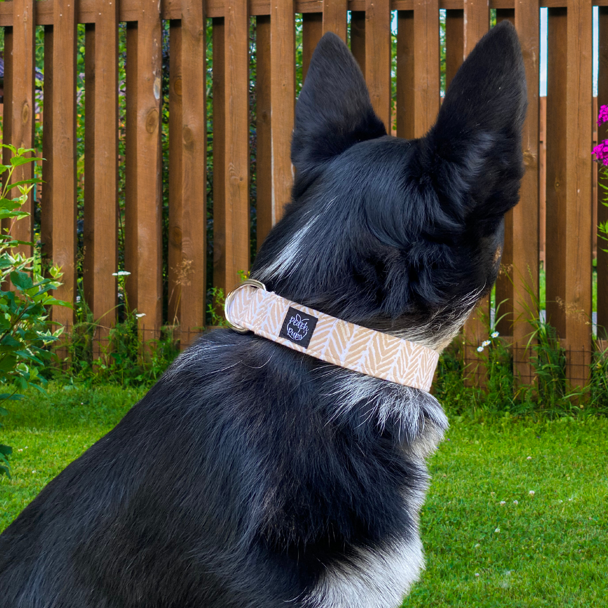 Beige Chevron Collar