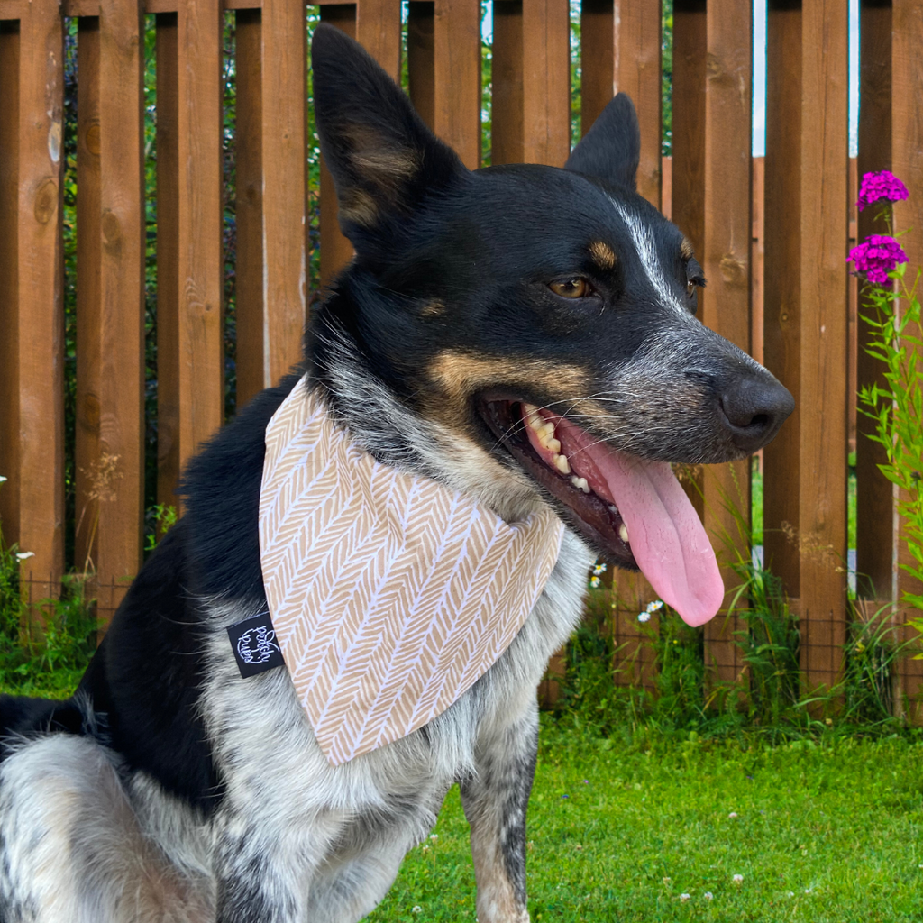 Beige Chevron Bandana
