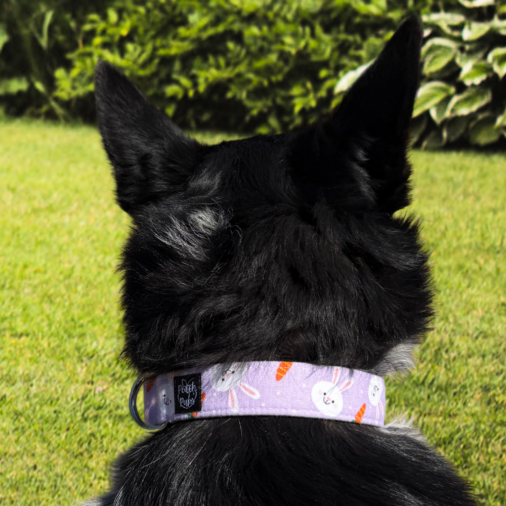 Purple Bunnies and Carrots Collar