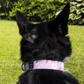 Purple Bunnies and Carrots Collar