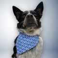 Abstract Stars Bandana