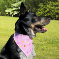 Peeps and Bunnies Bandana
