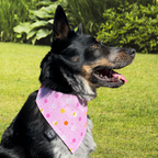 Peeps and Bunnies Bandana