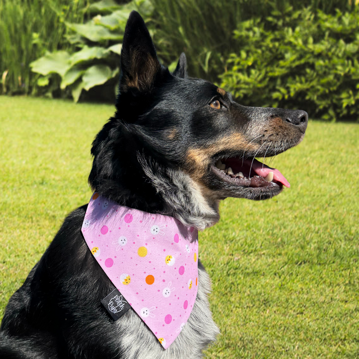 Peeps and Bunnies Bandana