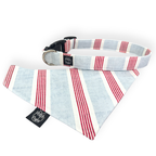 Classy Patriotic Collar
