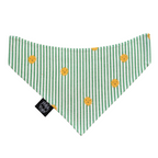Suns on Green Seersucker Bandana