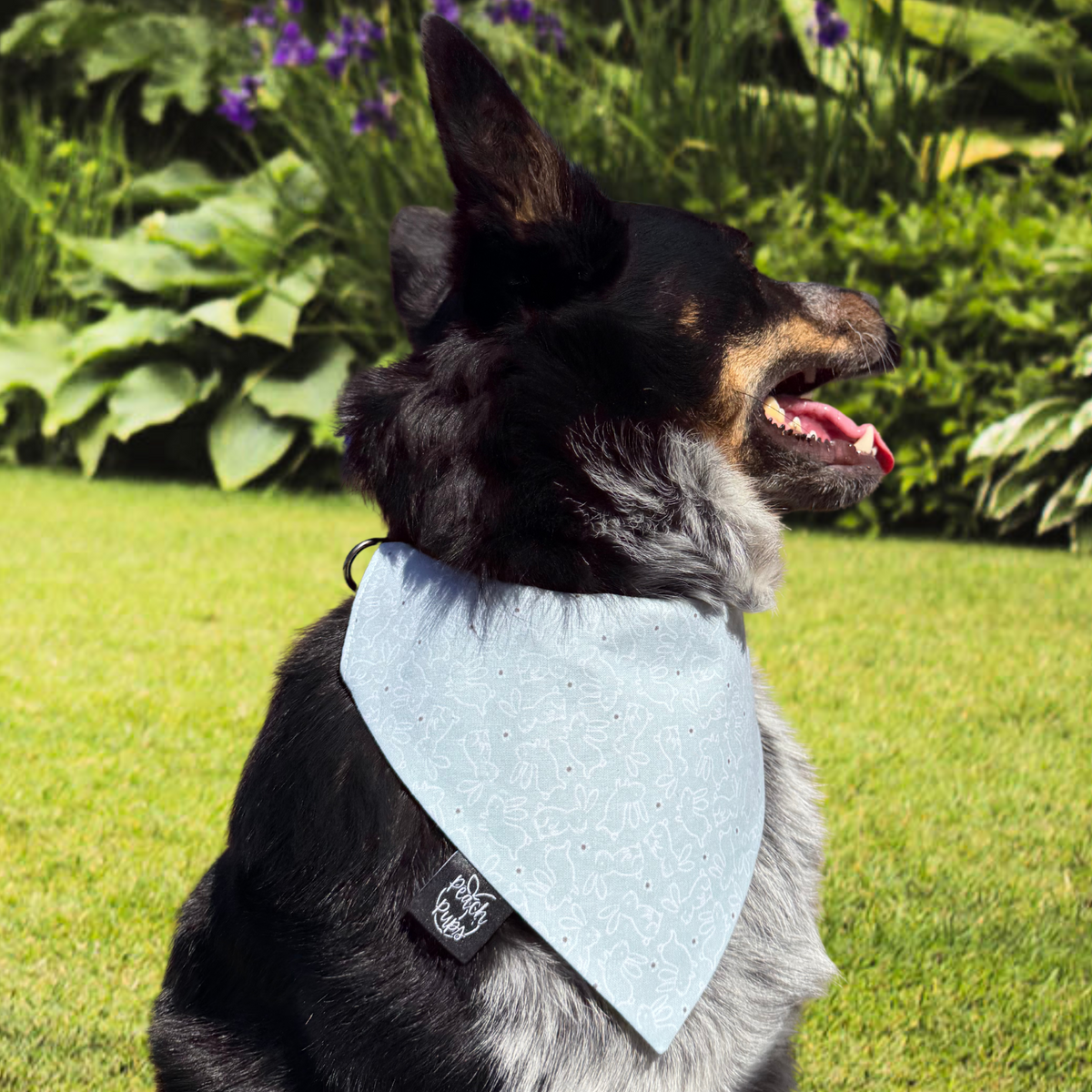 Aqua Bunnies Bandana