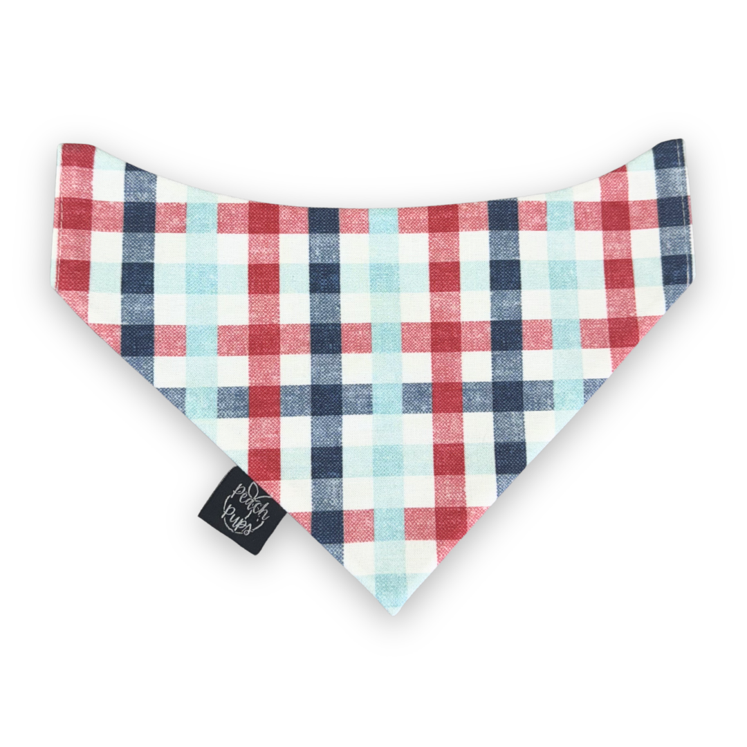Red, White, and Blue Gingham Bandana