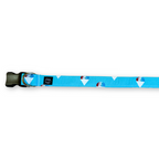 USA Snow Cones Collar