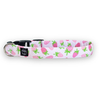 Strawberries Collar
