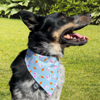Blue Bunnies and Carrots Bandana