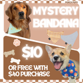 MYSTERY BANDANA