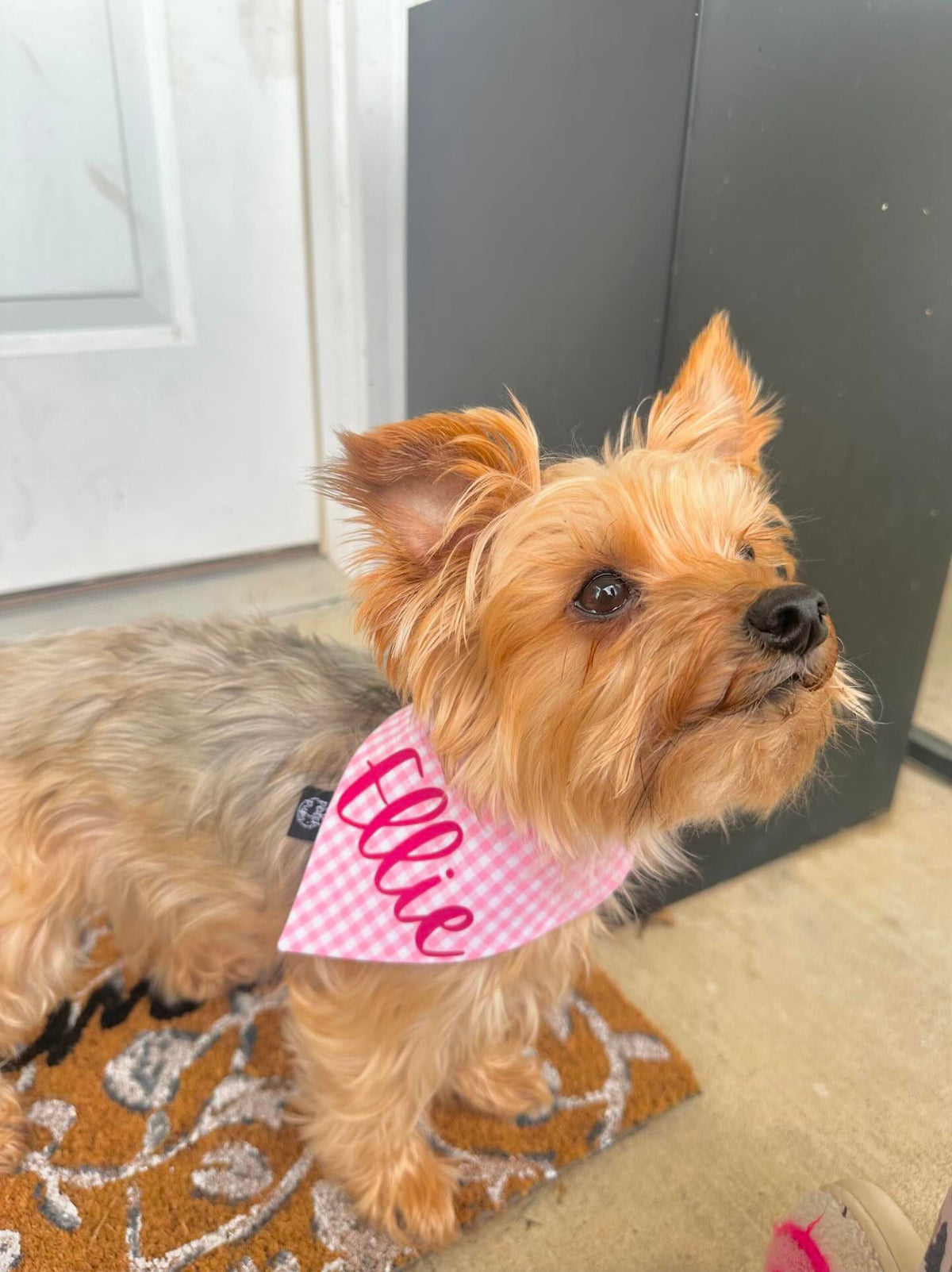 Pink Gingham Bandana