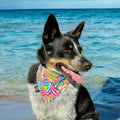 Florida!!! Bandana