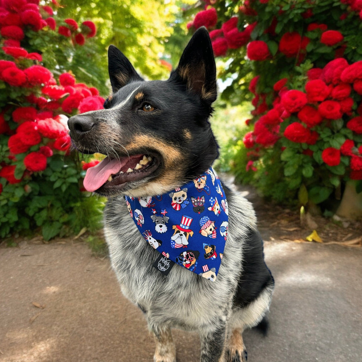 Patriotic Pups Bandana